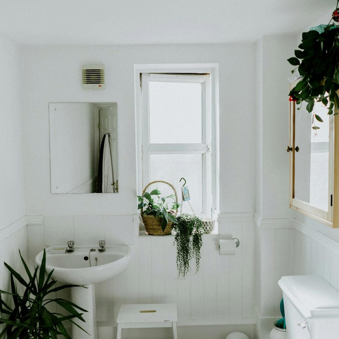 A pedestal basin with separate taps, and a WC